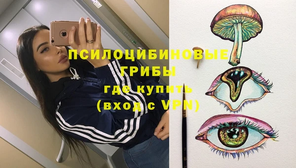 мескалин Коряжма