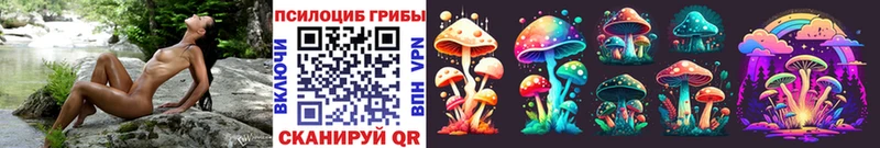 Галлюциногенные грибы GOLDEN TEACHER  Купить закладки  Бологое 